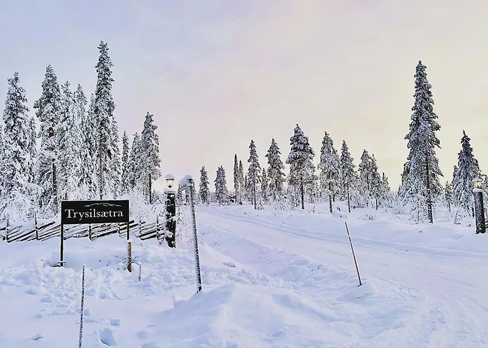 Vakantiehuis Modern With Jacuzzi Near Alpine Trysil